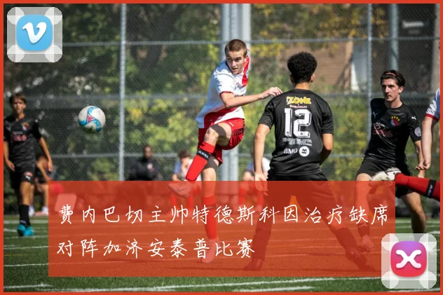费内巴切主帅特德斯科因治疗缺席对阵加济安泰普比赛
