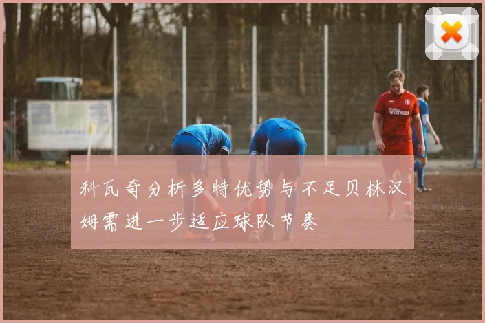 科瓦奇分析多特优势与不足贝林汉姆需进一步适应球队节奏