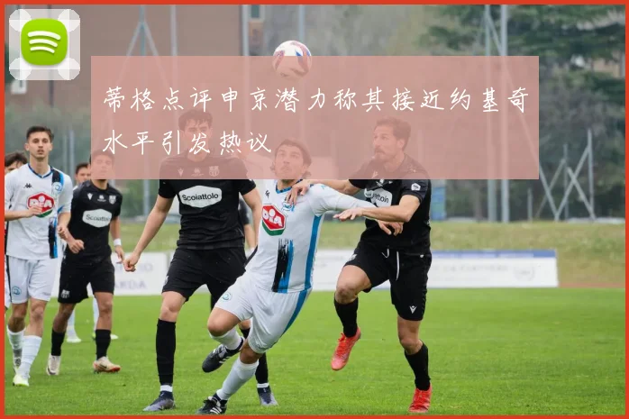 蒂格点评申京潜力称其接近约基奇水平引发热议