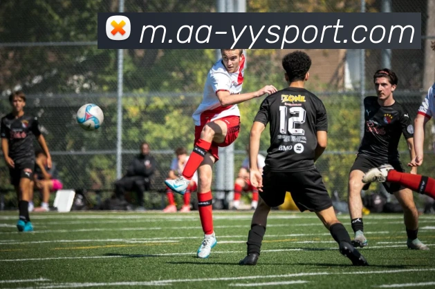 App Interface Preview