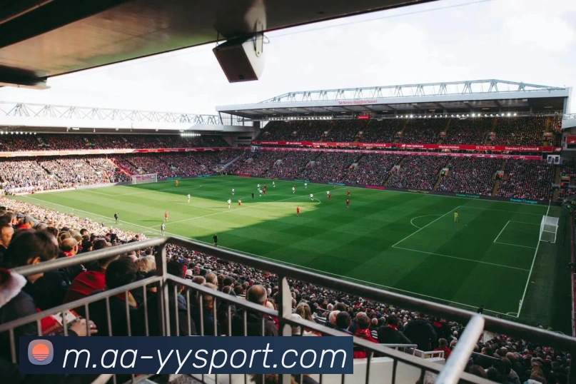 易游体育APP 封面图